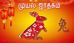 Thumbnail Image for முயல் சீன ஜாதகம் 2024
