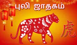 Thumbnail Image for புலி சீன ஜாதகம் 2024