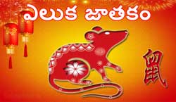 Thumbnail Image for ఎలుక చైనీస్ జాతకం 2024