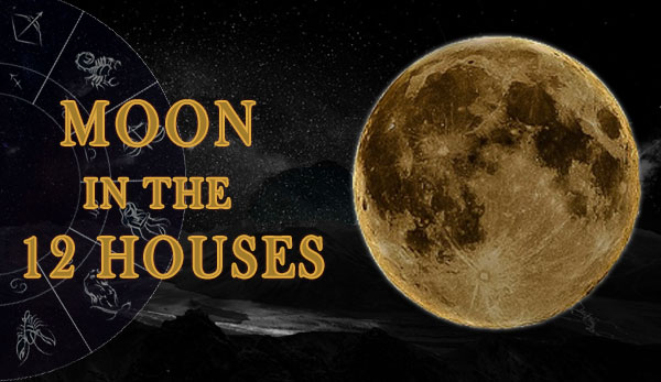 Thumbnail Image for Moon in the Twelve Houses