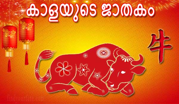Thumbnail Image for കാള ചൈനീസ് ജാതകം 2024