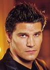 David Boreanaz