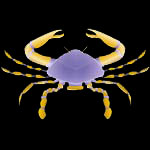Cancer Monthly Horoscope Cancer Monthly Horoscope