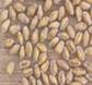 WHEAT PARTS