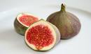 FIG PARTS