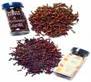 CLOVE MEDICINE1