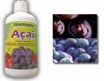 ACAI MEDICINE1