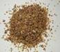 BIRCH TREE MEDICINE