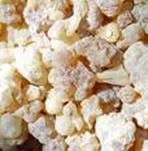 FRANKINCENSE THURIFERA