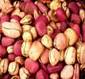 KOLA NUT PARTS