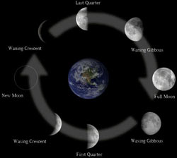 Full Moon Chart 2015