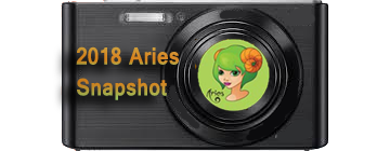 2018 Aries  Snapshot