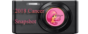 2018 Cancer  Snapshot