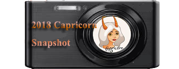 2018 Capricorn  Snapshot