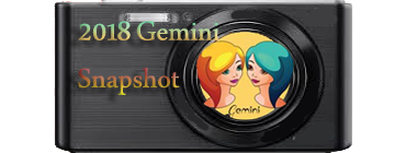 2018 Gemini  Snapshot