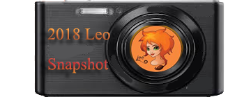 2018 Leo  Snapshot