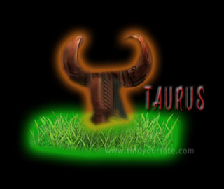 2020 Taureau