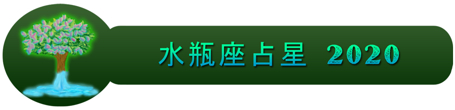 2020水瓶座星座