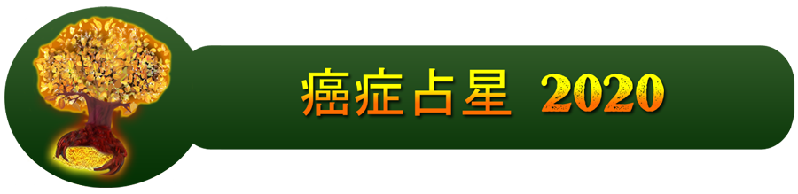 2020年的双子座星座运势