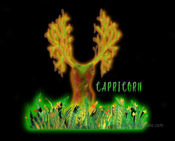 2020 Capricorne