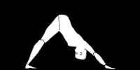 ADHO MUKHA SVANASANA