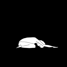 DEPRESSION BALASANA