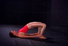 CHOLESTEROL CHAKRASANA