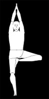 APPENDICTIS VRIKSHASANA