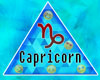 astrology Calendar - Capricorn