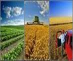 AGRICULTURE JOBS