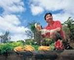 AGRICULTURE 