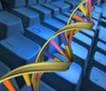 BIO INFORMATICS CAREERS
