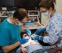 DENTISTRY CAREERS