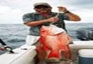 FISHERIES