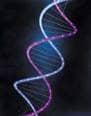 GeneticEngineering career