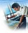 MerchantNavy career