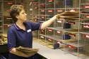 PostalServices career