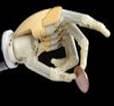Prosthetics Orthotics jobs