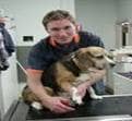 VeterinaryScience jobs
