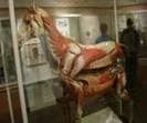 VeterinaryScience