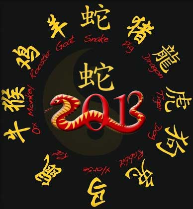 year of snake - 2013