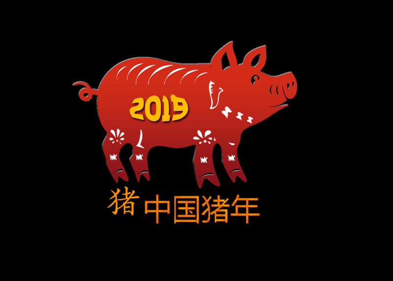 年猪-2019年