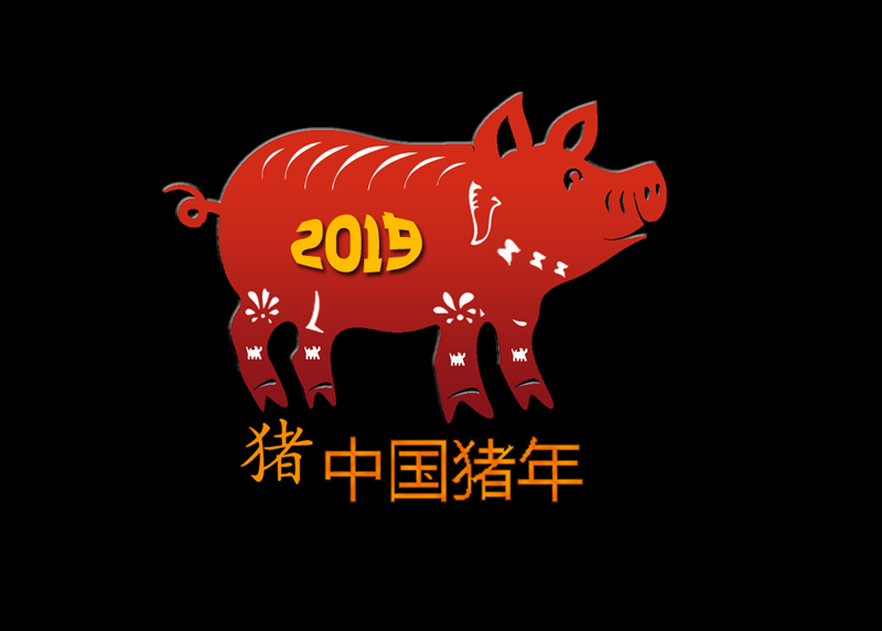 年猪-2019年 年猪-2019年