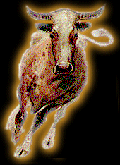 Animal Sign - Ox