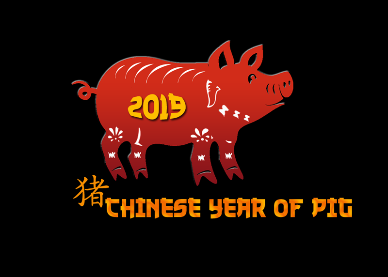 year of pig - 2019