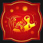 2014 Chinese horoscope for - Pig