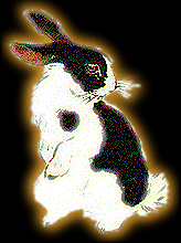 Animal Sign - rabbit