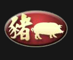 year of pig
