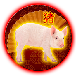 猪2021年中国的星座运势
