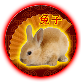 兔子2021年中国的星座运势